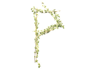 Obraz premium Isolated object: spelled with sprigs of rosemary letter of the English alphabet