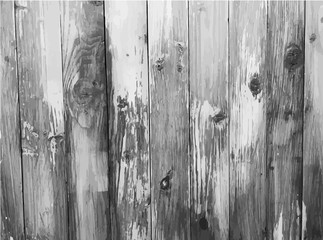 Vintage. Shabby Wood Background. Grey wood wall of vertical boards. Close-up texture, copy space