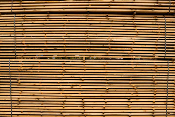 Piles of wooden boards in the sawmill, planking. Warehouse for sawing boards on a sawmill outdoors. Wood timber stack of wooden blanks construction material. Industry.