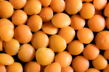 Uncooked red lentil grains texture