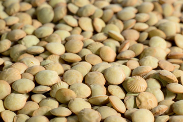 Uncooked green lentil grains texture