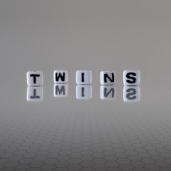 The concept of twins represented by wooden letter tiles