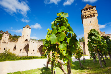 Valentre bridge towers Cahor, France and vineyard