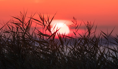 sonnenaufgang am meer