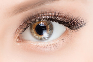 Obraz premium Eyelash extension procedure. Beautiful female eyes with long lashes makeup closeup
