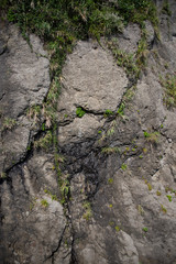 崖の岩肌