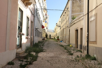 Obraz premium NB__7572 Aleja z wejściami do domu