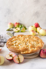 Homemade apple pie, charlotte. On white background