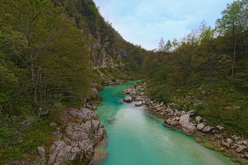 Fototapeta premium Picturesque landscape view of alpine Soca River. Emerald green water flows between mountains with dense forest. Concept of landscape and nature. National Park of Triglav, Slovenia