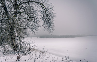 Winter landscape and nature
