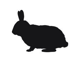 Vector black flat rabbit silhouette isolated on white background