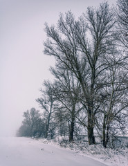 Winter landscape and nature