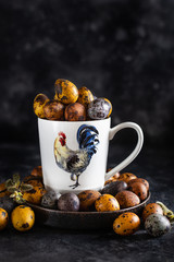 Easter colored quail eggs, painting Easter eggs with natural dyes