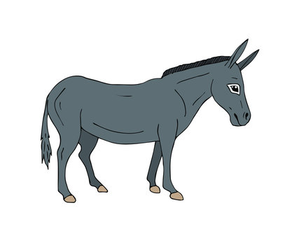 Vector hand drawn doodle gray sketch donkey isolated on white background
