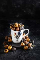 Easter colored quail eggs, painting Easter eggs with natural dyes