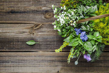 Assorted garden fresh herbs on wooden background - obrazy, fototapety, plakaty