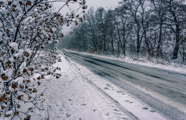 Winter landscape and nature