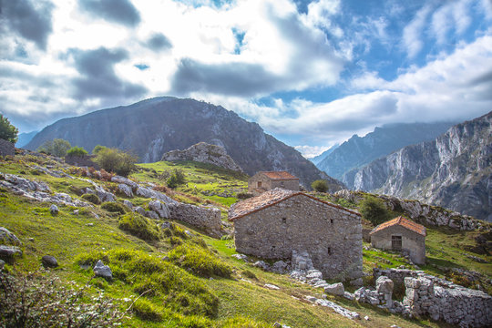 Sotres, Asturias / Spain &raquo;; Spring 2017: Rural village of La Monta&ntilde;a Camba, winged from the orange tree of the Bulnes