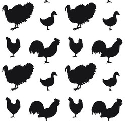 Vector seamless pattern of black domestic birds silhouette isolated on white background
