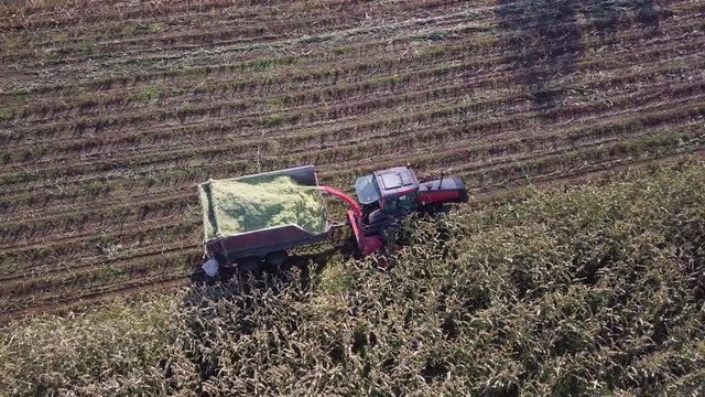 Aerial shot of a corn harvesting machine operating. TOP DOWN SHOT