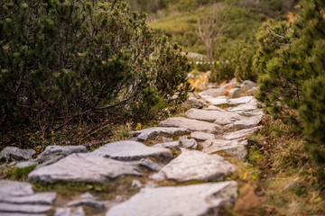 Droga na morskie oko - mnich  © BlackMediaHouse
