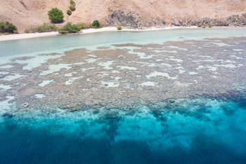 A beautiful fringing reef grows on a shallow flat extending from an island in Komodo National Park, Indonesia. This area is known for both its dragons as well as its incredible marine biodiversity.