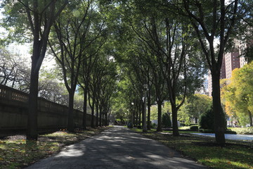 alley in the park