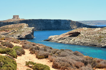 Fototapeta na wymiar Malte : blue lagoon sur l'île de comino