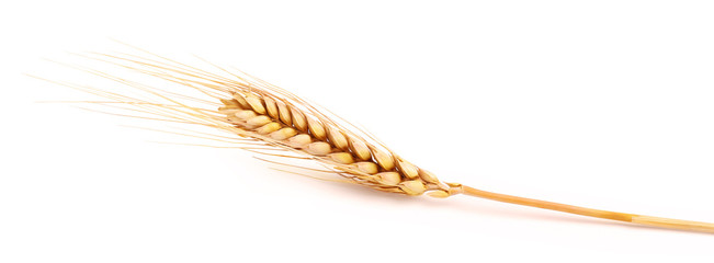 wheat floss on a white background