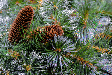 Close-up of an artificial Christmas tree with frost, snow and cones as a Christmas background