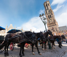 Naklejka na ściany i meble Dark horses are harnessed to a cart against the backdrop of the Belfort tower in Bruges, Belgium