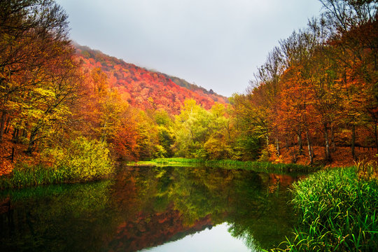 Small lake surrounded by forest with colorful plants at autumn cloudy and foggy day. Lake Grza near the Paracin in Serbia.
