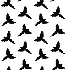 Vector seamless pattern of macaw parrot silhouette isolated on white background