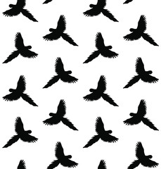 Vector seamless pattern of macaw parrot silhouette isolated on white background