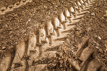 Wheel tracks on dirt