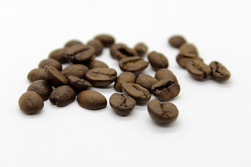 coffee bean mocha detail roasted