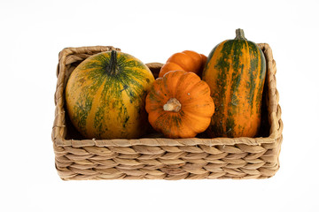 Decorative Pumpkins