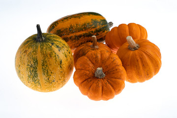 Decorative Pumpkins