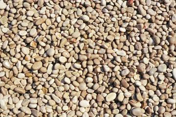 Background of sea pebbles.