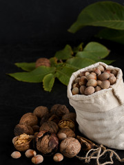 Natural fresh walnut and hazelnut on a black background. Walnut leaves on the background. Close-up. The concept of a healthy diet, natural antioxidants. Natural light.