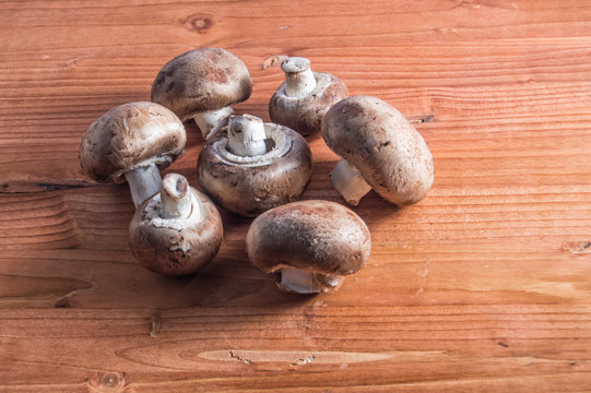 several moshroom isolated on wood background