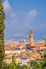 Roofs and towers of  beautiful Italian city of Florence