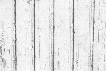 White wood texture with cracked white paint. White wooden background in rustic style.