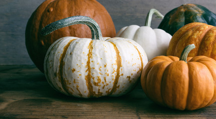 Group of pumpkins including hooligan, sugar and baby boo. 