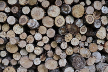 pile of wood logs