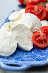 Cheese collection, fresh Italian soft mozzarella cheese in balls served with red ripe tomatoes