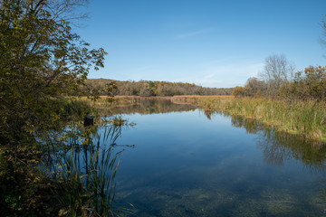 Fototapeta premium Quiet backwater on a fall day