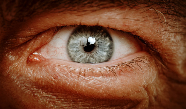 eyes detail close-up macro shot  