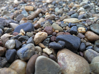a scattering of colored pebbles of different sizes