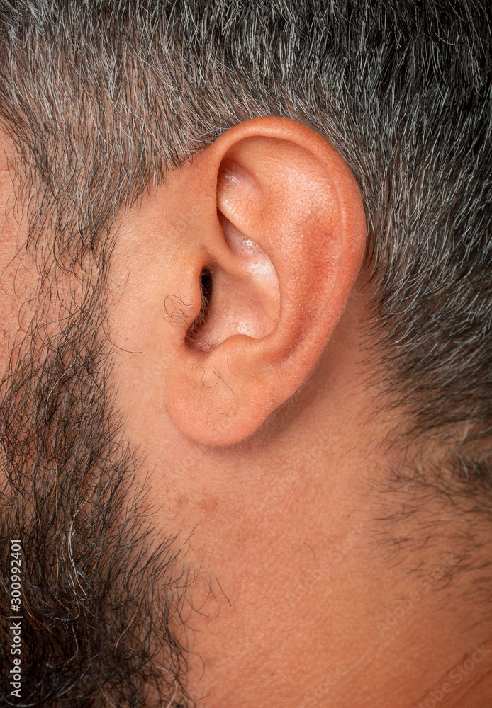 Wall mural ear macro close-up shot hearing concept